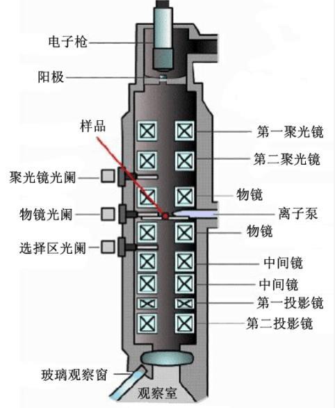 德布罗意个人生平及贡献（德布罗意波是概率波）