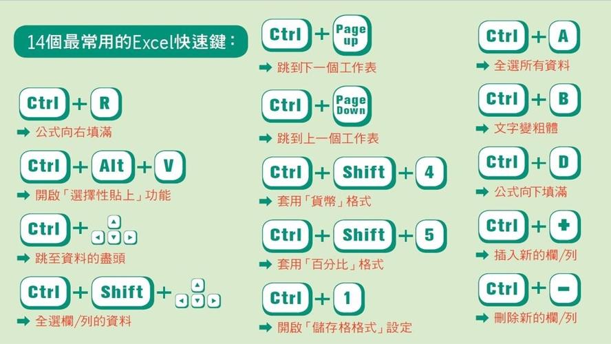 excel表格全选快捷键（苹果电脑表格全选方法）