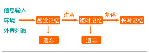 记忆过程包括哪几个环节内容