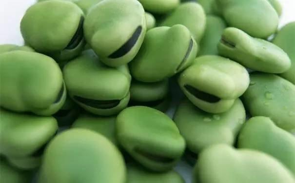 蚕豆是酸性食物还是碱性食物