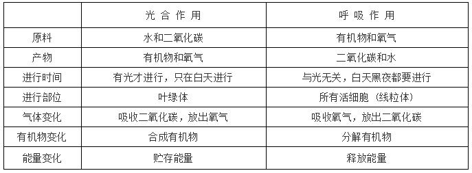 植物呼吸作用释放什么气体？和光合作用的区别？