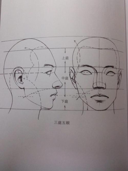 素描三庭五眼指的是什么意思