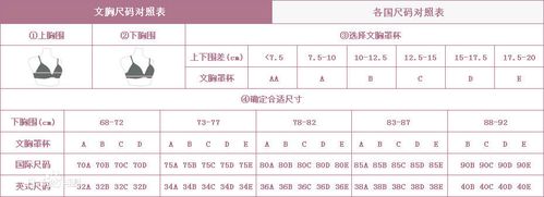 胸围90多少罩杯（胸围90cm对应什么尺码内衣）